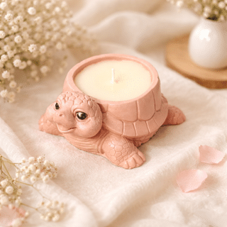 Bougie Tortue