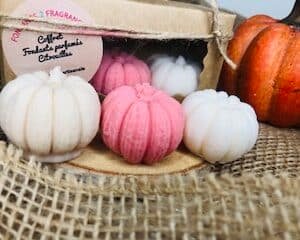 coffret citrouille parfumée cire de soja
