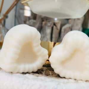 fondant orchidée noire